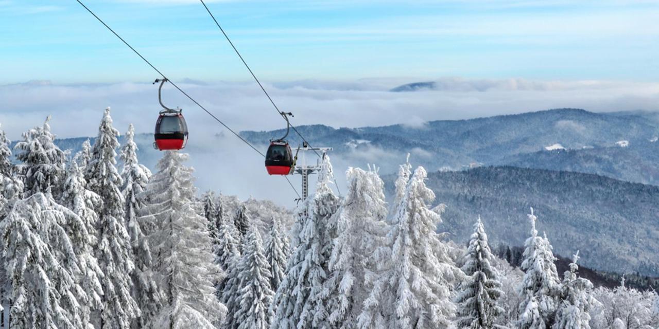 Hotel Olga Dedijer Kopaonik Ngoại thất bức ảnh